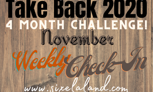 Take Back 2020 – Weekly Check In 11/6/20